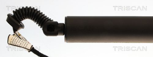 Gas Spring, boot/cargo area-1