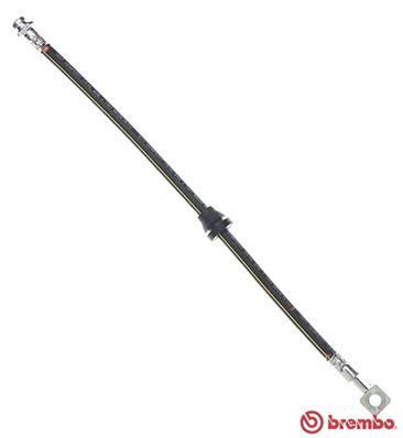 stabdžių žarnelė