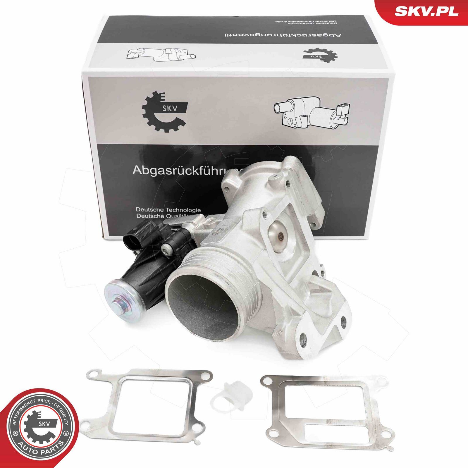 EGR Valve