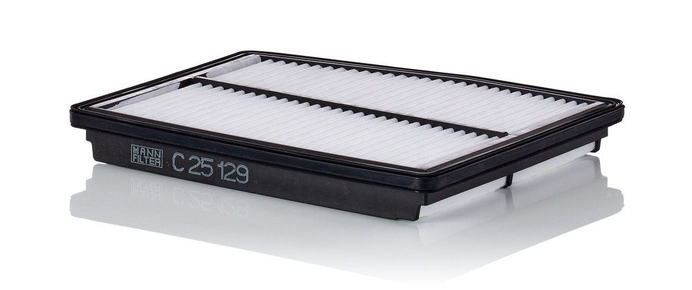 MANN-FILTER C 25 129 Air filter