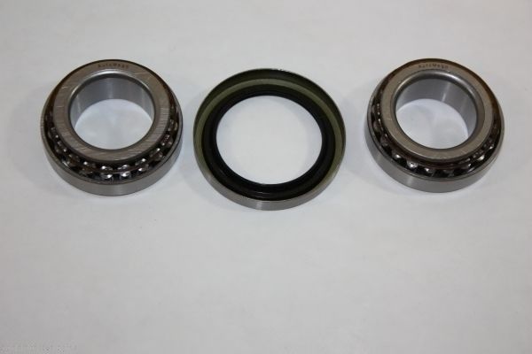 AUTOMEGA 110013810 Wheel bearing kit