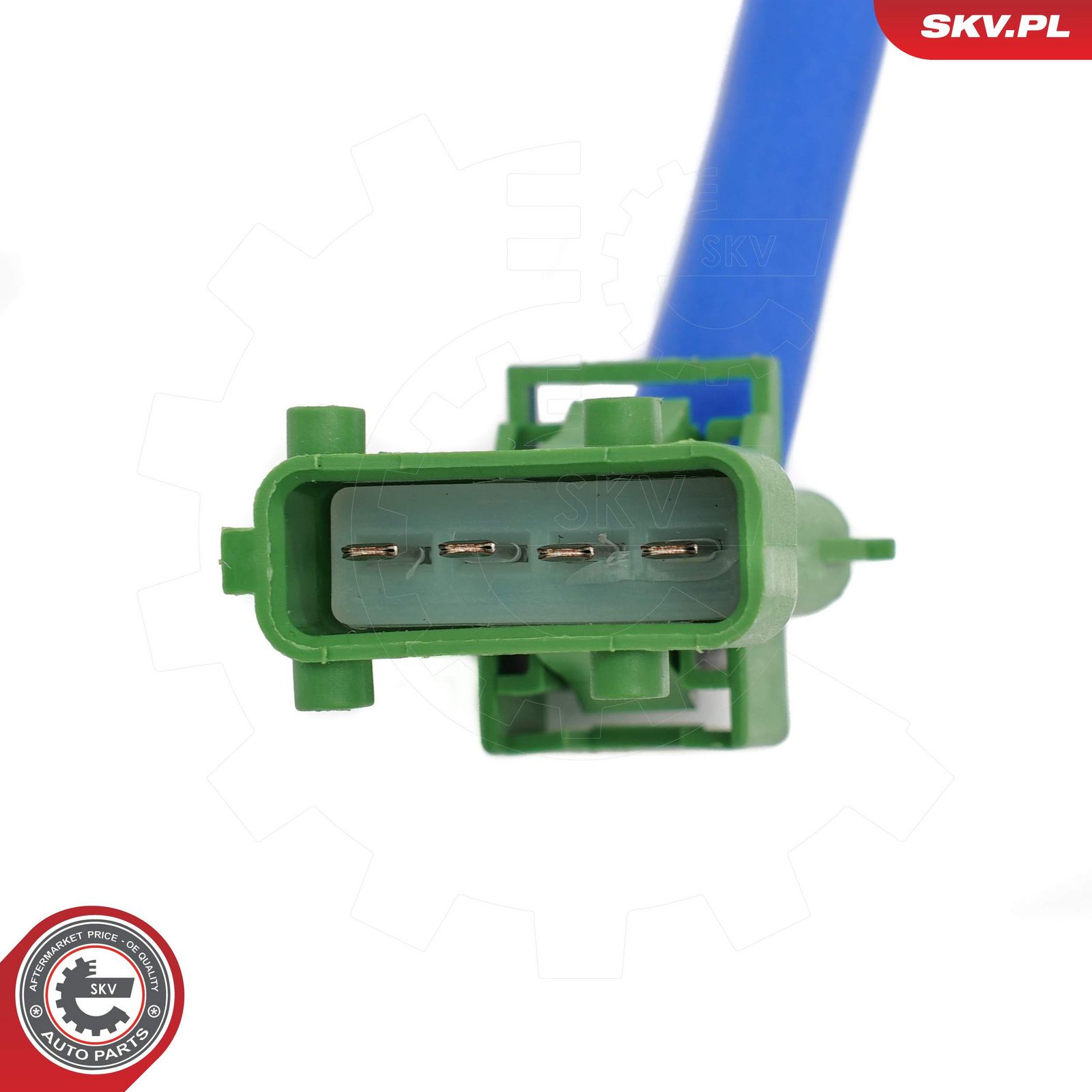 Oxygen Sensor-2