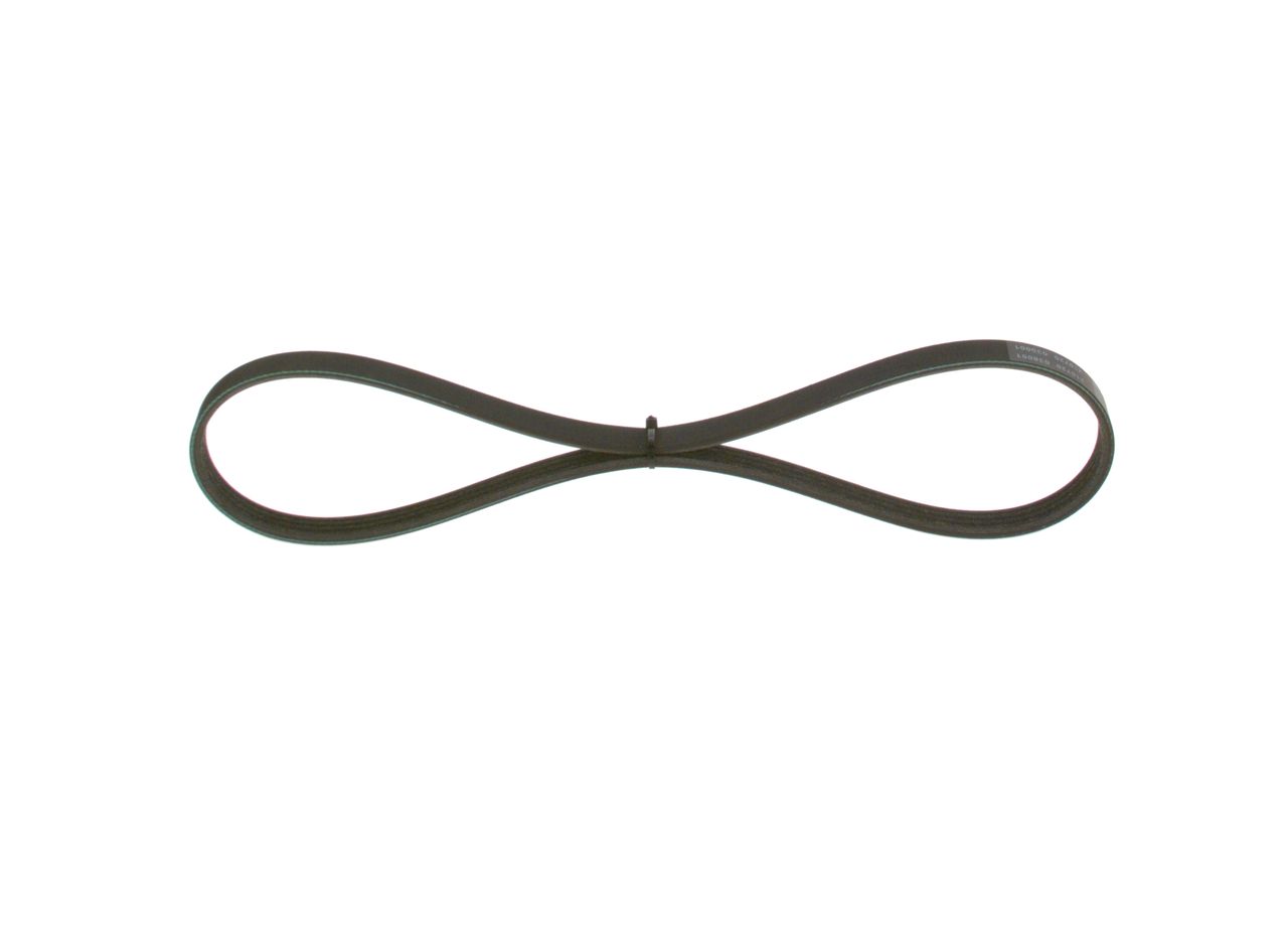 V-ribbed Belt