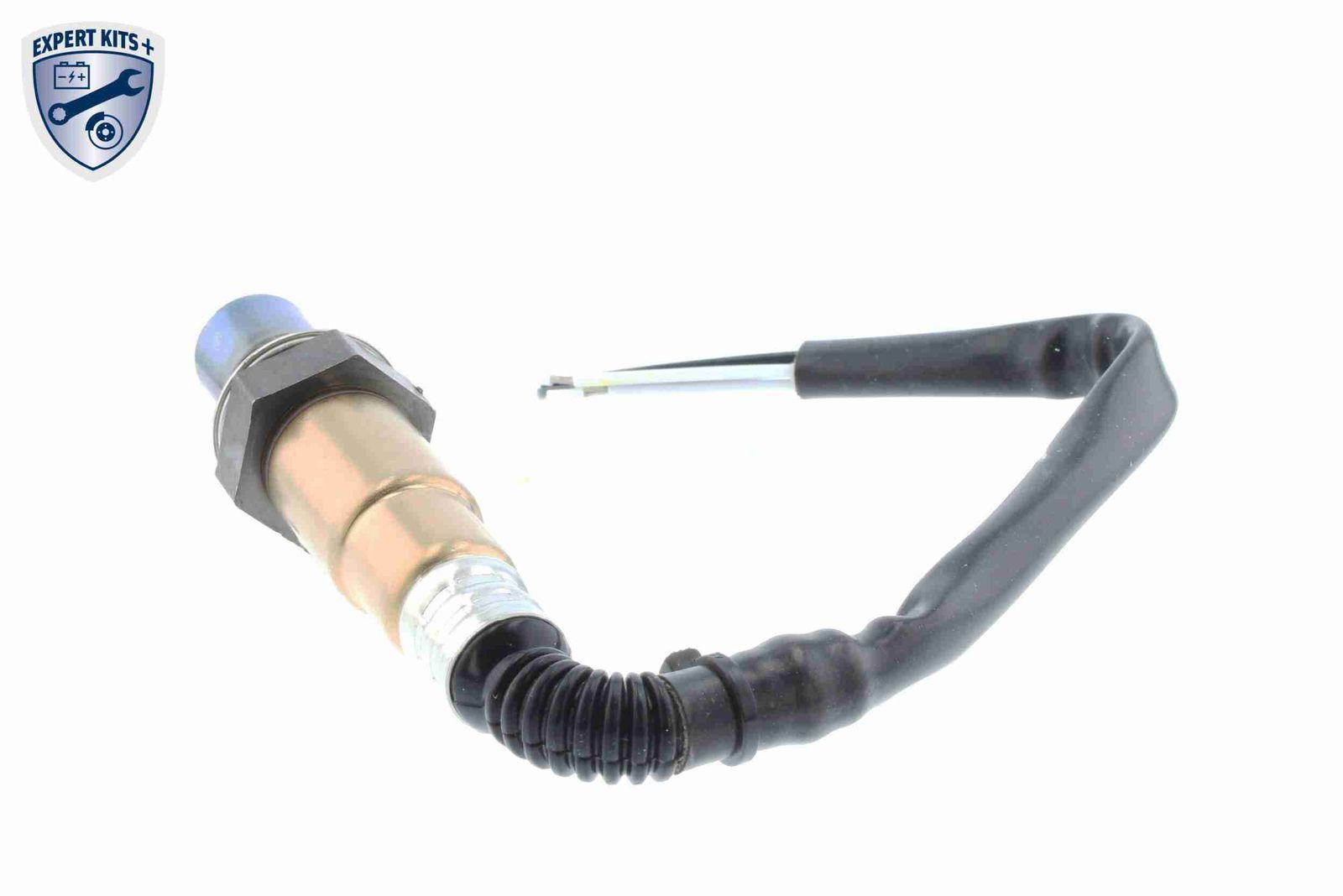 Oxygen Sensor-6