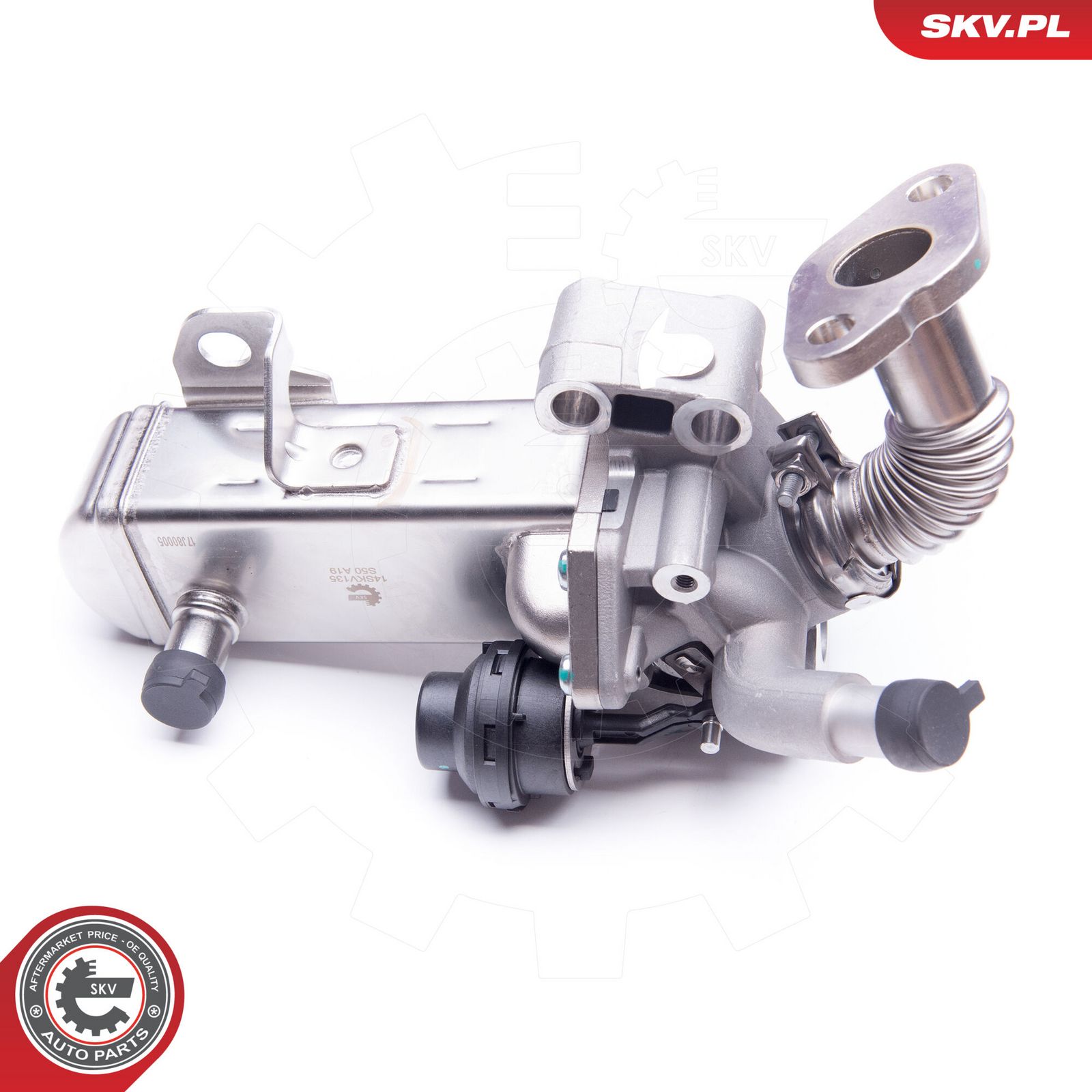 EGR Valve