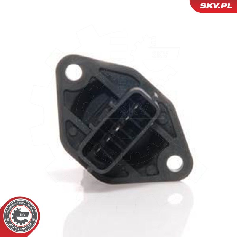 Mass Air Flow Sensor-2