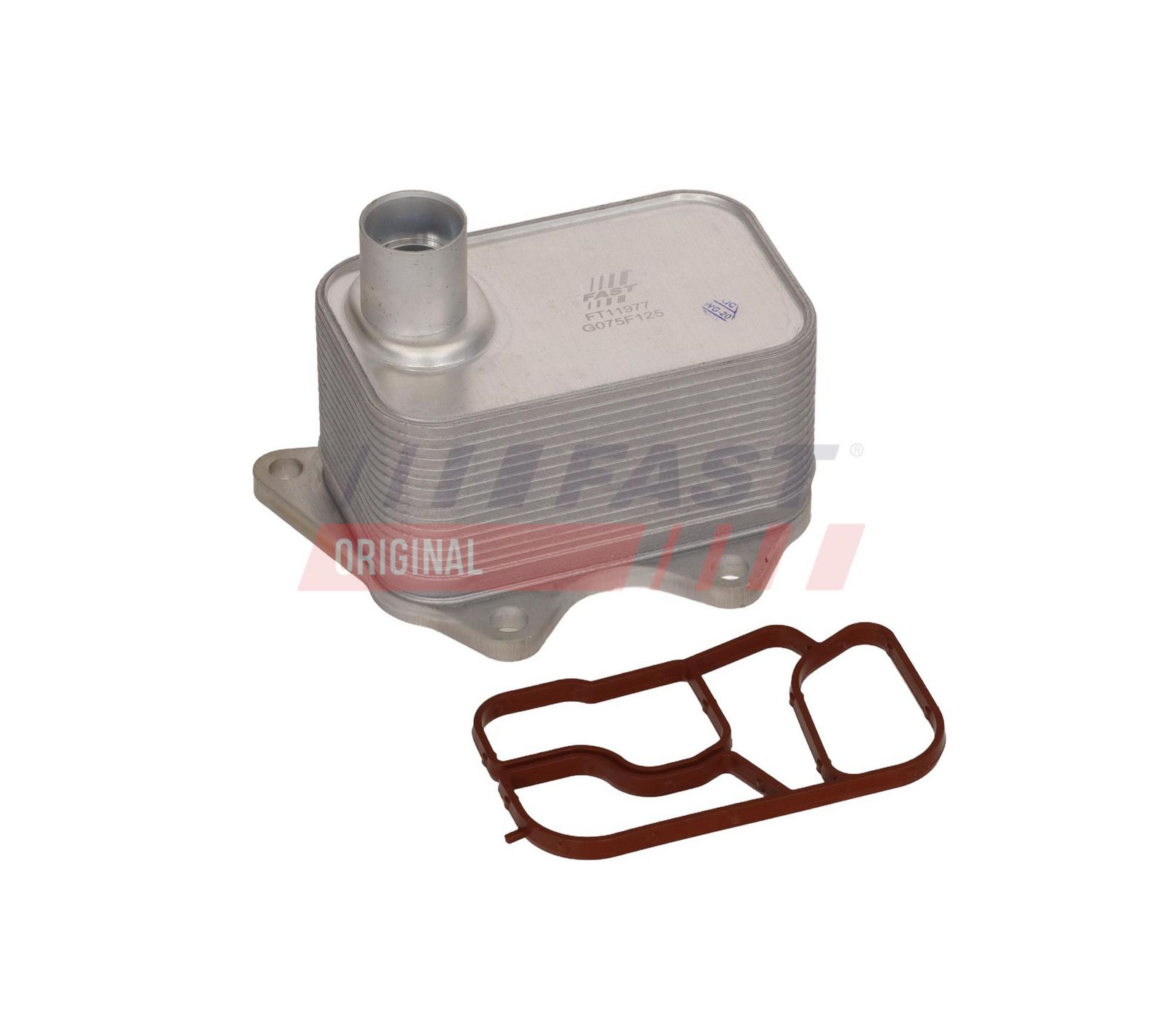 FAST FT11977 Oil cooler, engine oil
