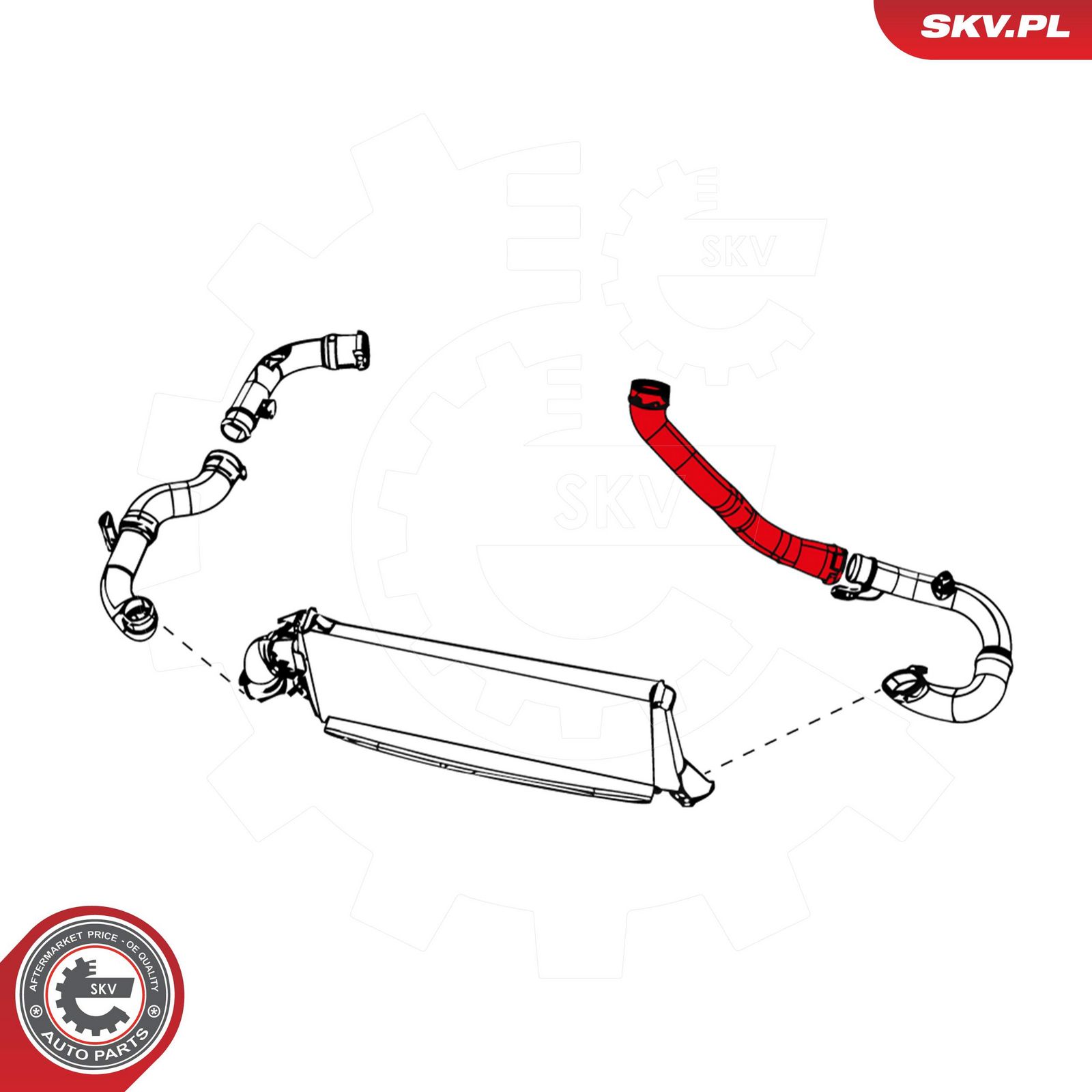 Charge Air Hose-1