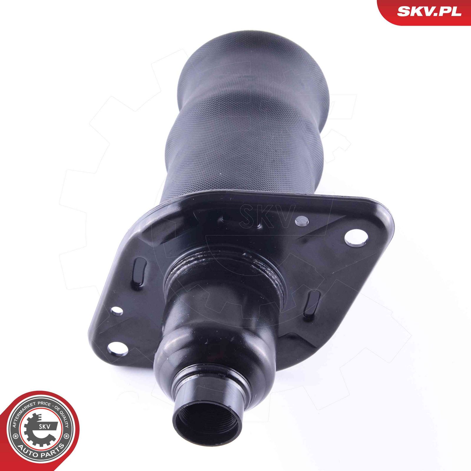 Air Spring, suspension-main