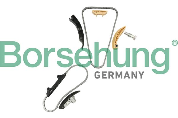 BORSEHUNG B10207 Timing chain kit