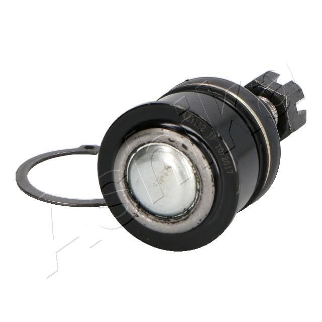 Šarnyras / girgždukas-2