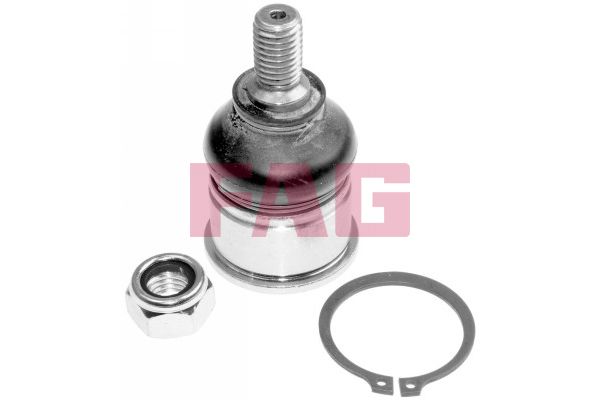 SCHAEFFLER FAG 825 0041 10 Šarnyras / girgždukas