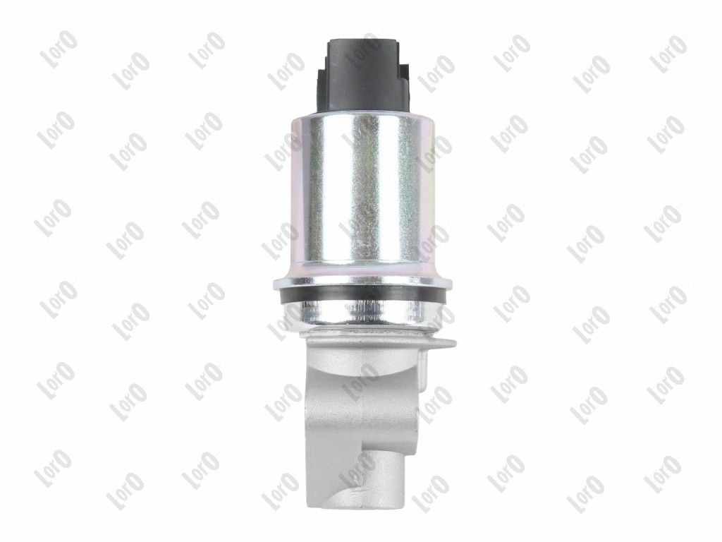 EGR Valve-5