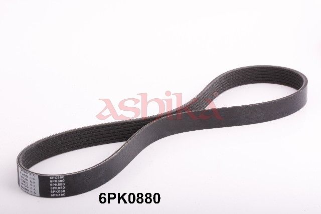 ASHIKA 112-6PK880 V-ribbed belt