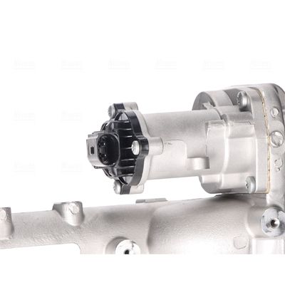 EGR Module-4