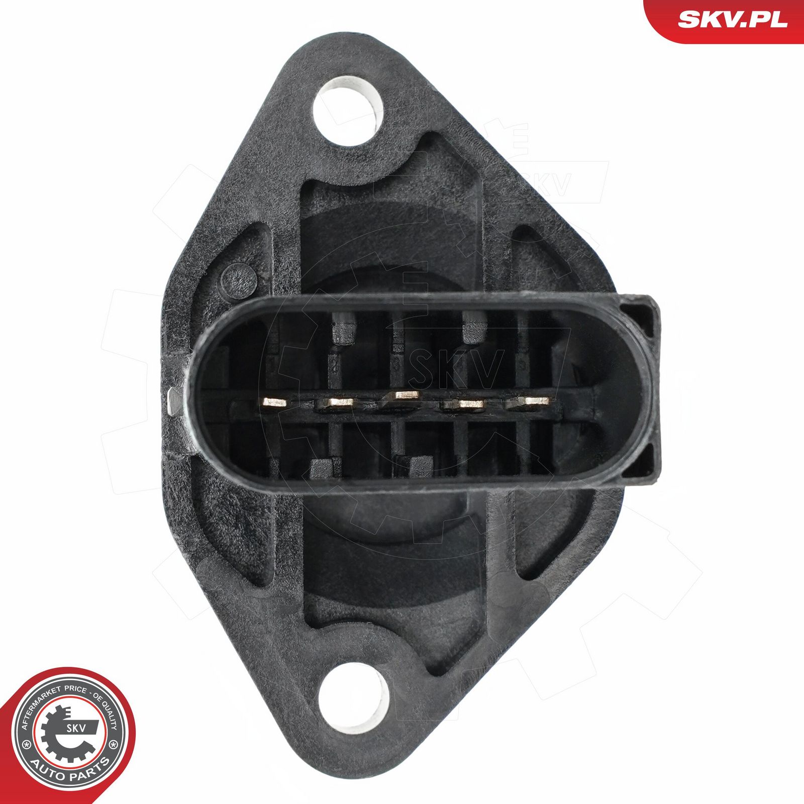 Mass Air Flow Sensor-1