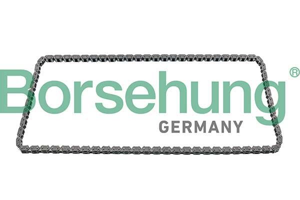 BORSEHUNG B12592 Timing chain