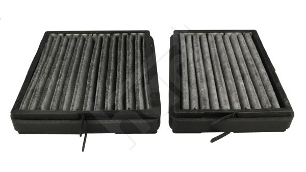 HART 338 561 Filtras, salono oras