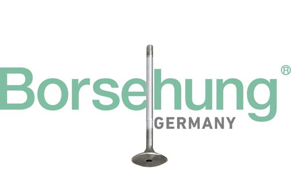 BORSEHUNG B10345 Intake valve