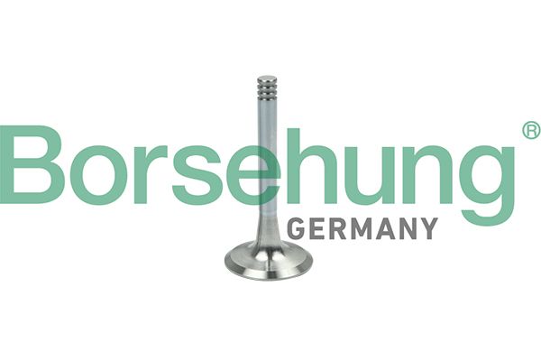 Exhaust Valve
