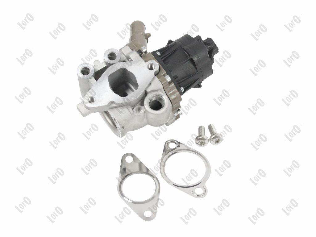 EGR Valve-1