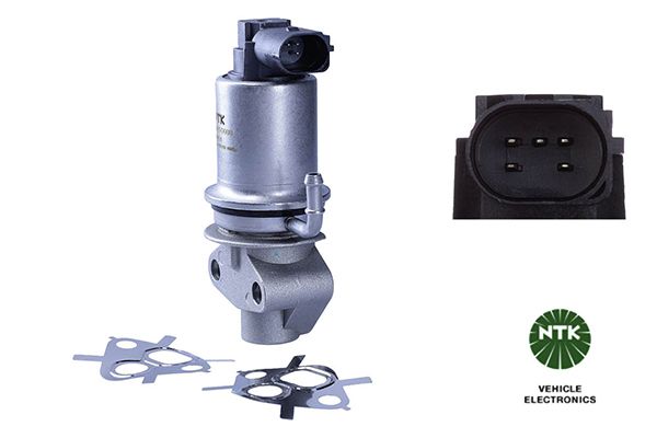 EGR Valve