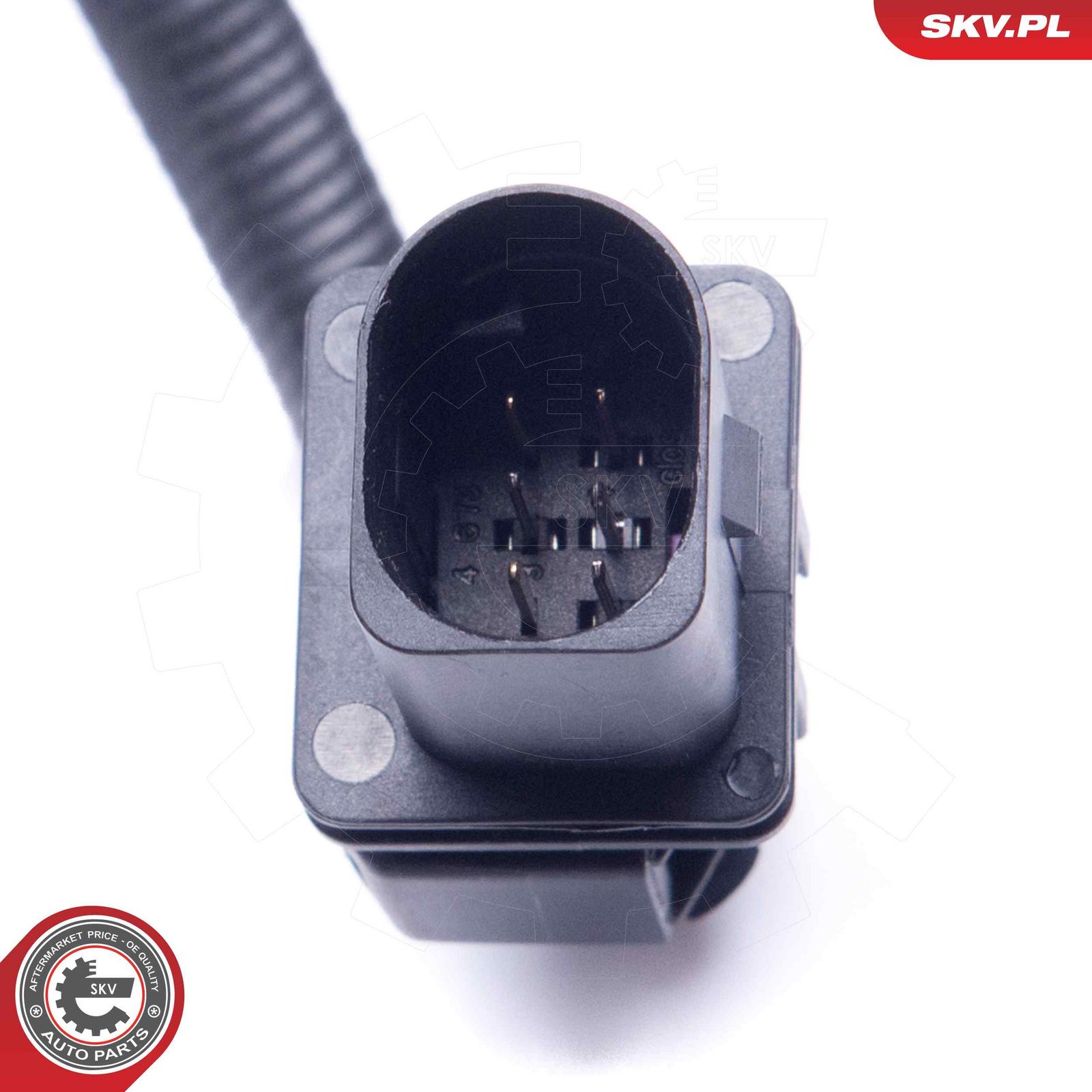 Oxygen Sensor-2