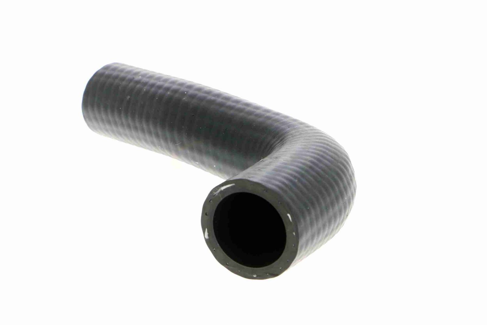Radiator Hose-2