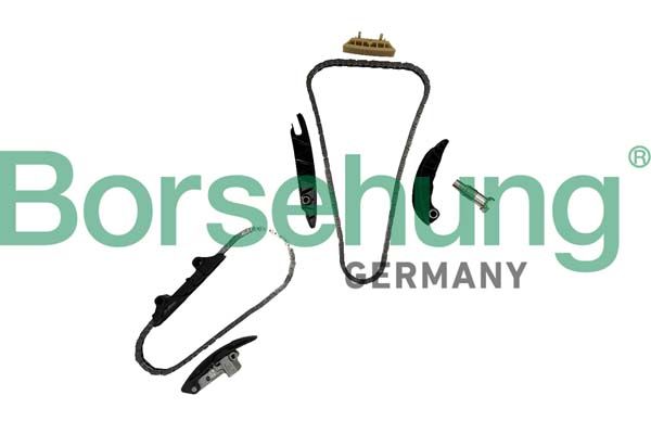 BORSEHUNG B10255 Timing chain kit