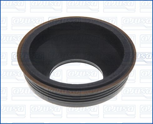 Seal, injector holder