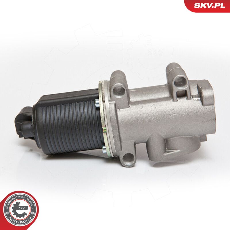 EGR Valve-4