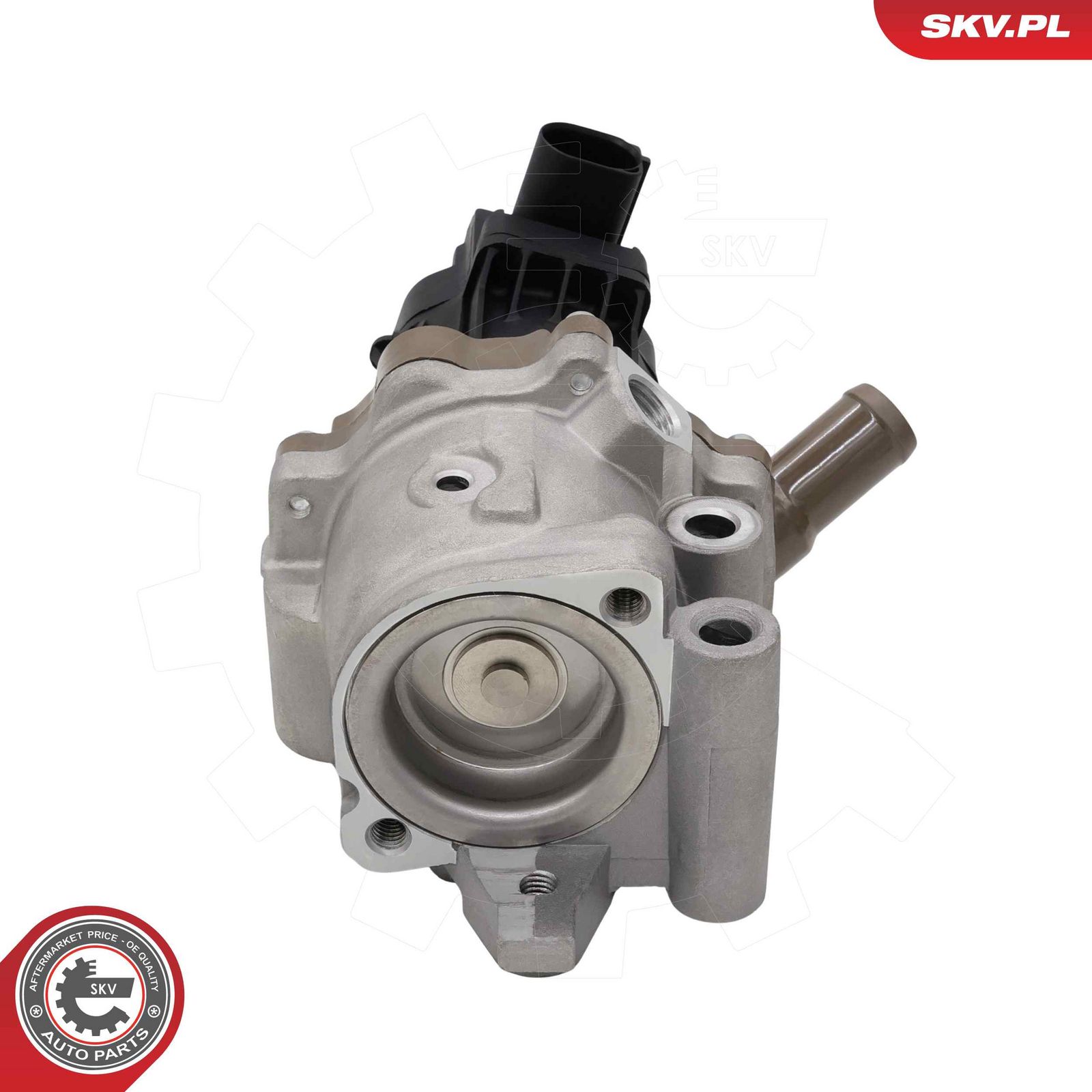 EGR Valve-4