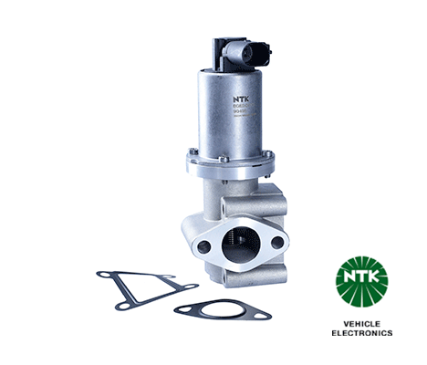 EGR Valve-1