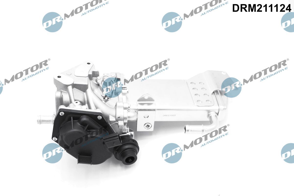 DR.MOTOR AUTOMOTIVE DRM211124 Egr valve