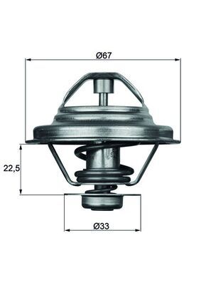 Thermostat, coolant