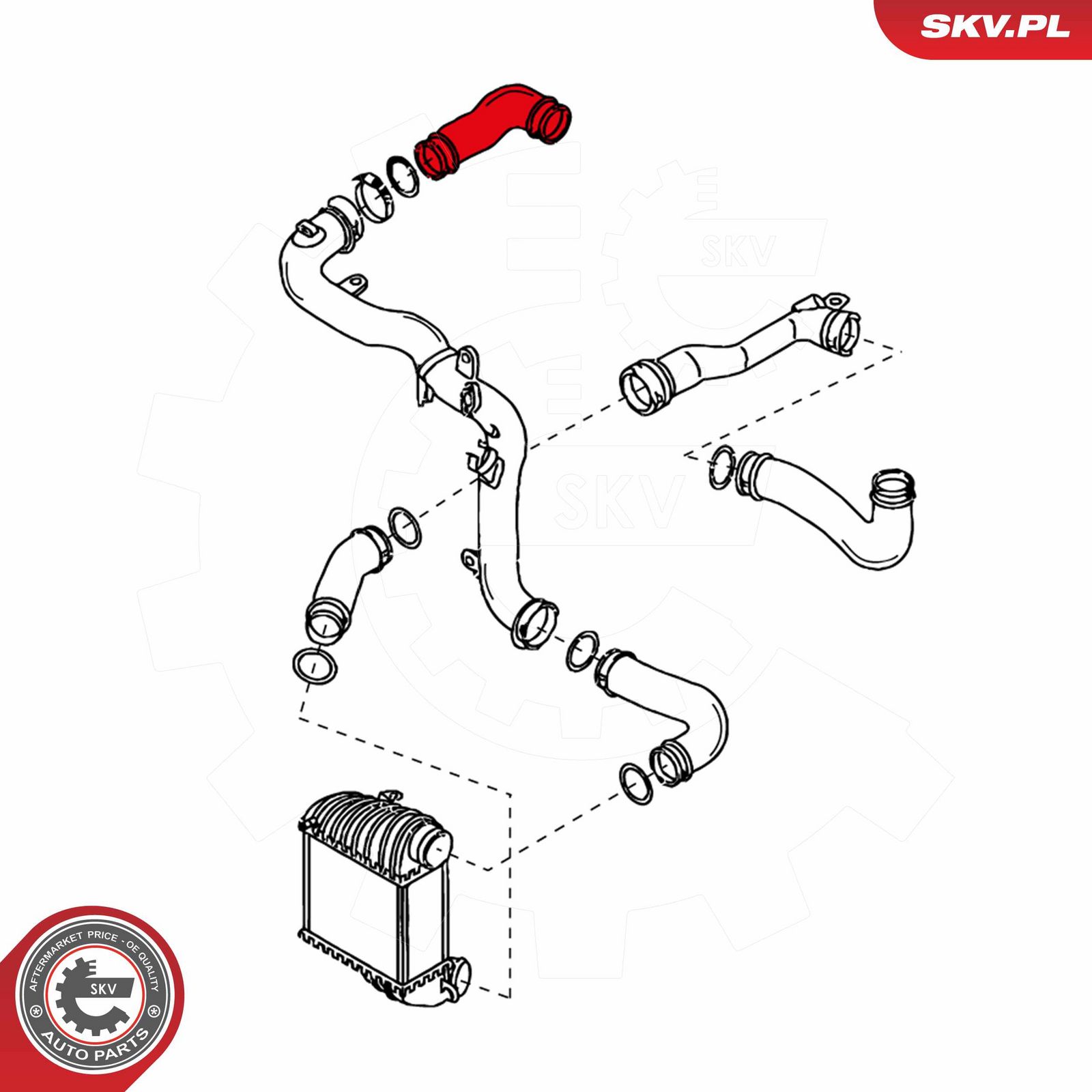 Charge Air Hose-1