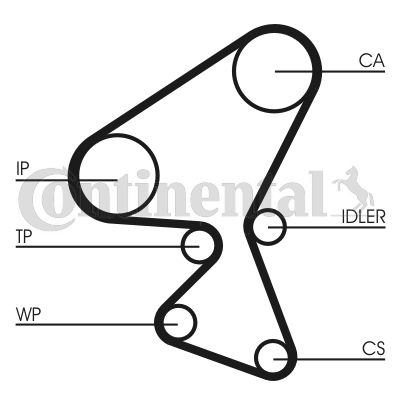 Timing Belt-1