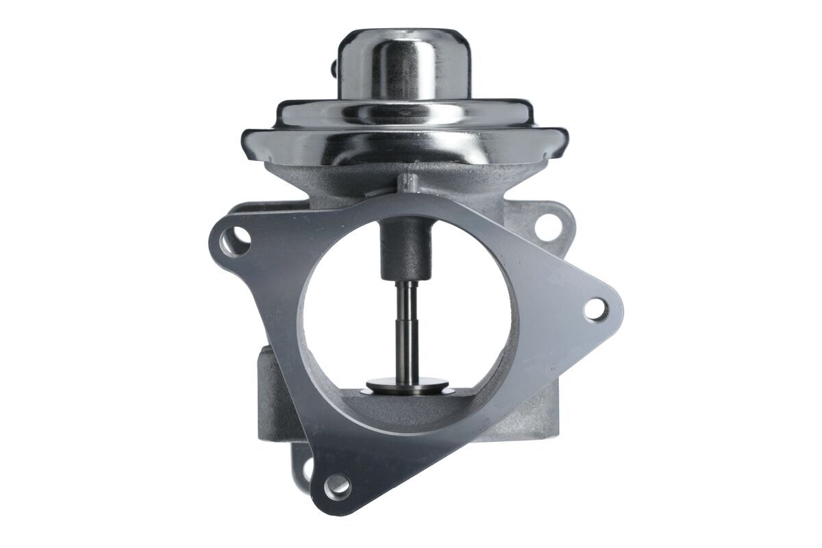 EGR Valve-1