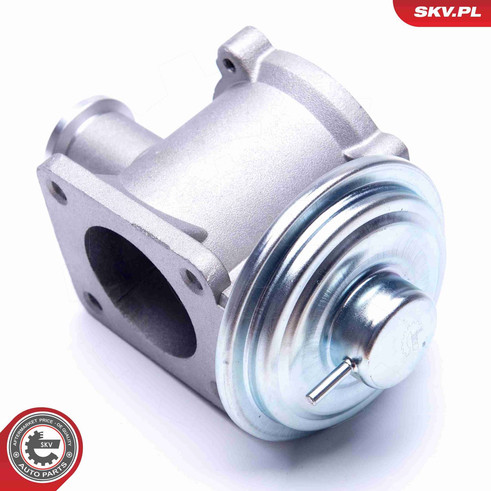 EGR Valve-2