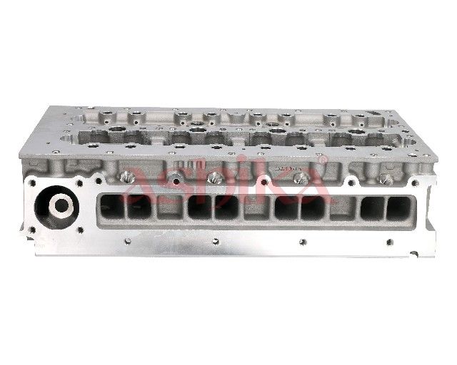 ASHIKA FI09ES Cylinder head