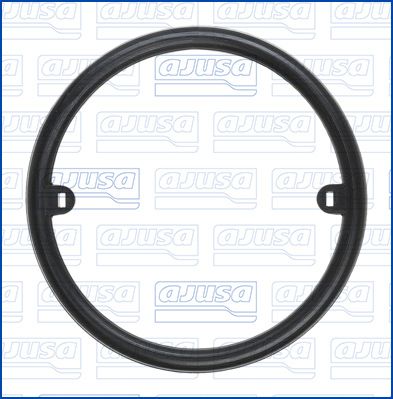 Seal Ring, oil cooler (lubrication)-1