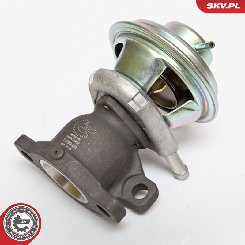 ESEN SKV 14SKV062 Egr valve