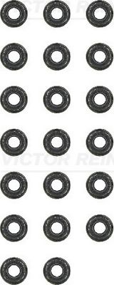 Seal Set, valve stem
