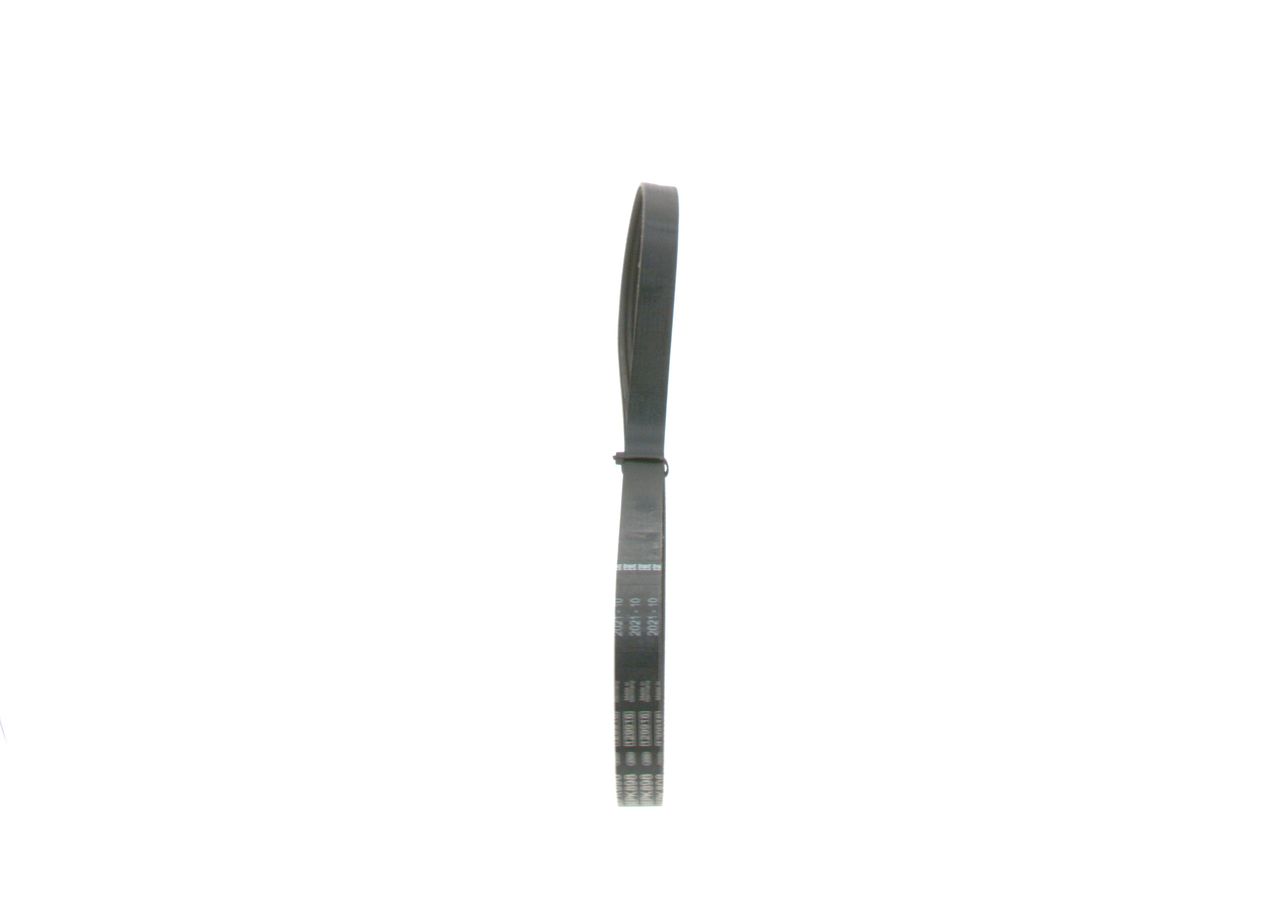 V-ribbed Belt-1