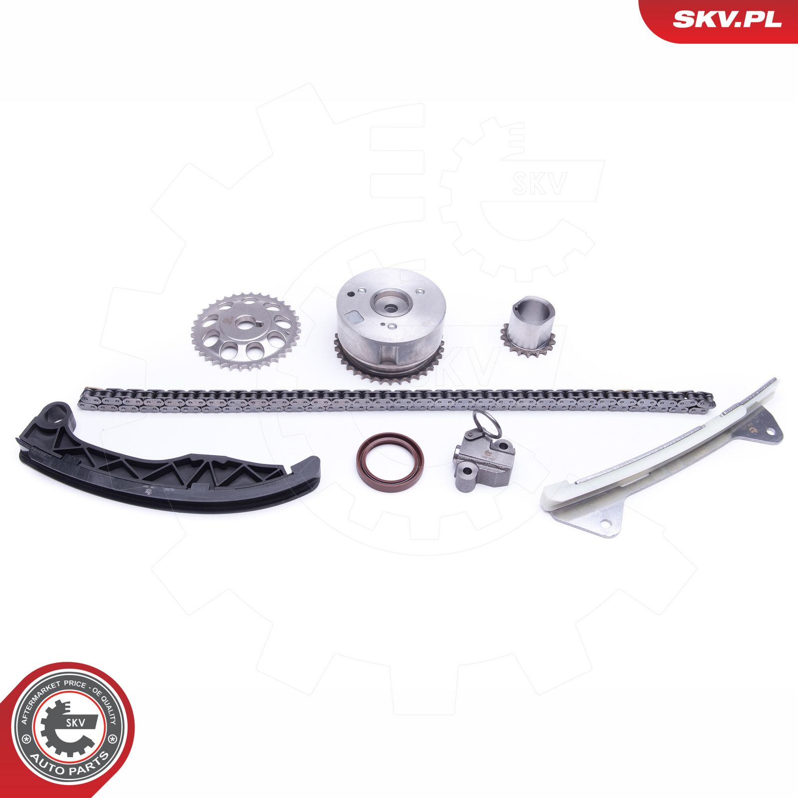 ESEN SKV 21SKV229 Timing chain kit