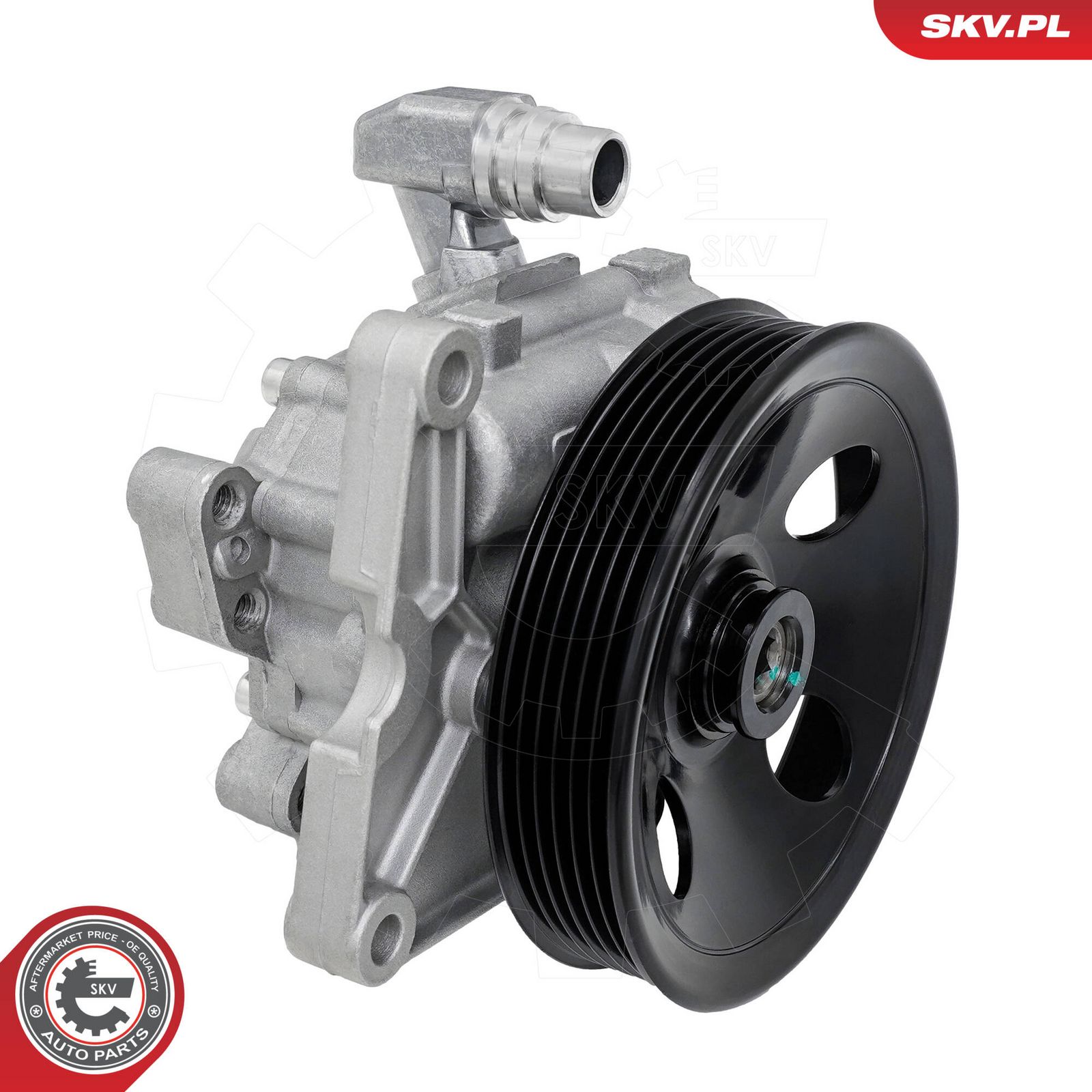 ESEN SKV 10SKV333 Hydraulic pump, steering