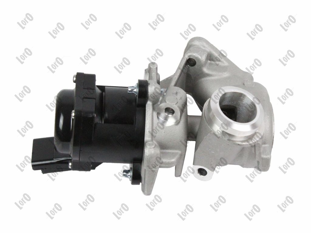 EGR Valve-1