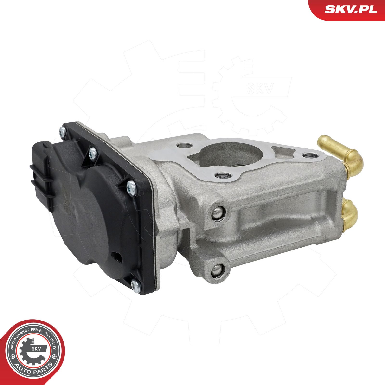 EGR Valve-5