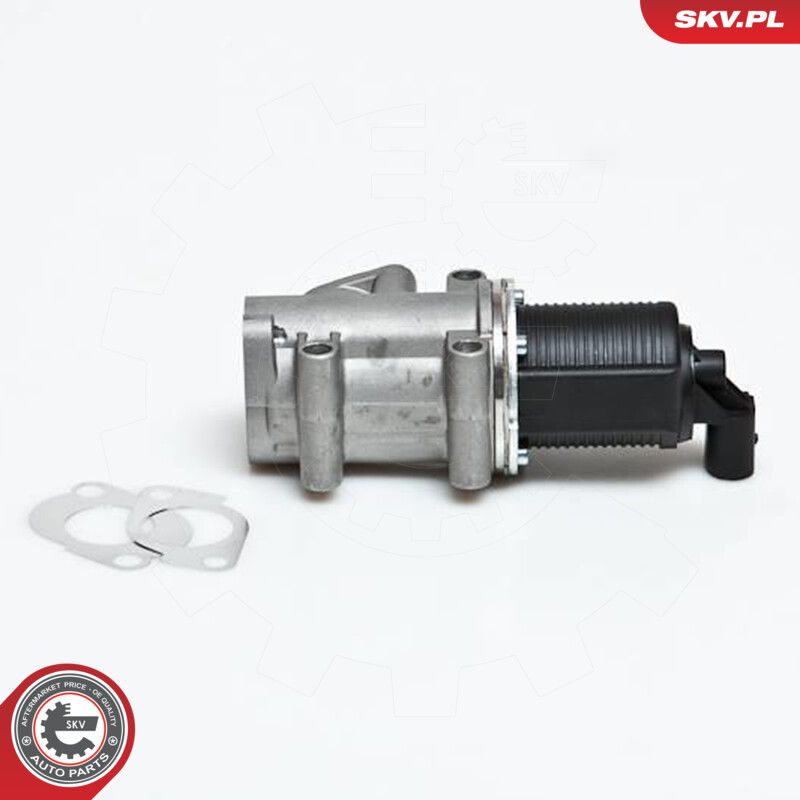 EGR Valve-3
