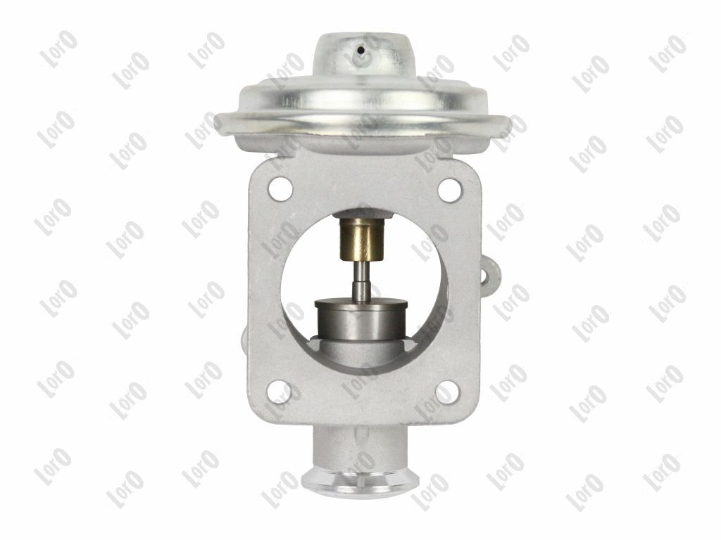 EGR Valve-6